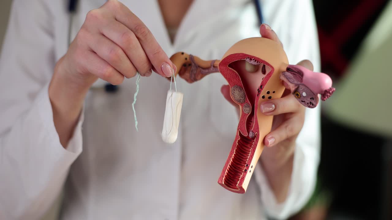 Doctor demonstrates female reproductive anatomy and tampon use