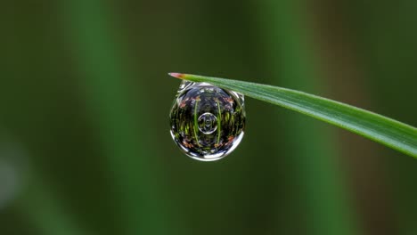 a captivating close-up of a water droplet suspended on a blade of grass, capturing the reflections of nature in stunning clarity against a soft green background