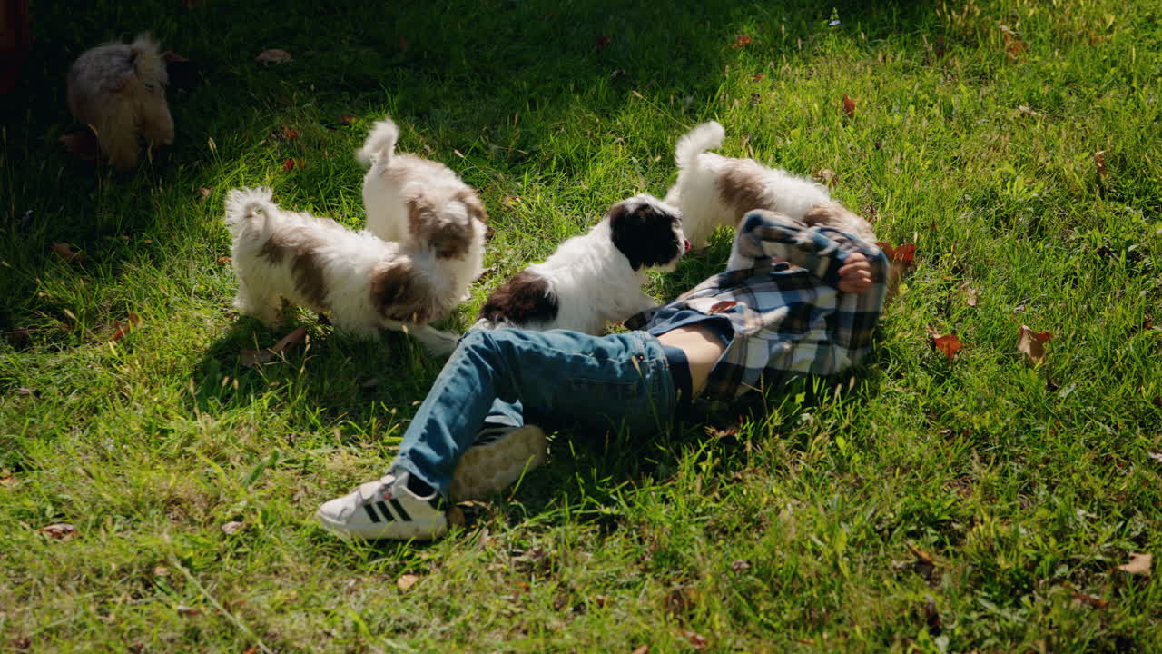Child laying in the grass with puppies