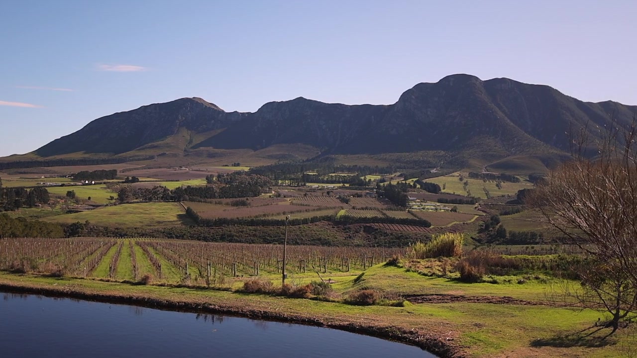 Panorâmica aérea: Vinhedo na margem do lago em vale verdejante e montanhas.