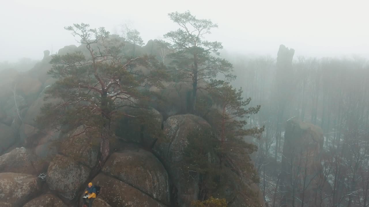 Foggy winter landscape with trees and rocks