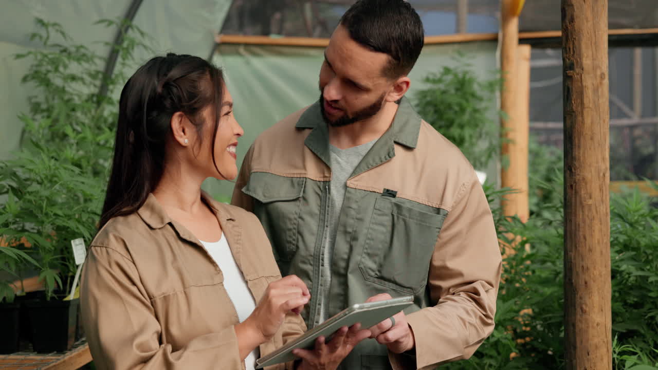 Farmers in a greenhouse