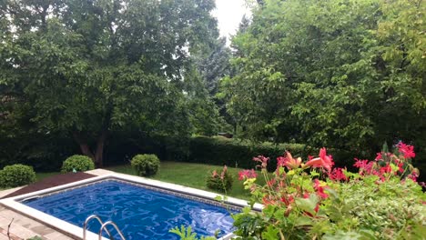 Panoramic-view-on-covered-swimming-pool-with-evergreen-vegetation-and-live-hedges-in-background-in-4k