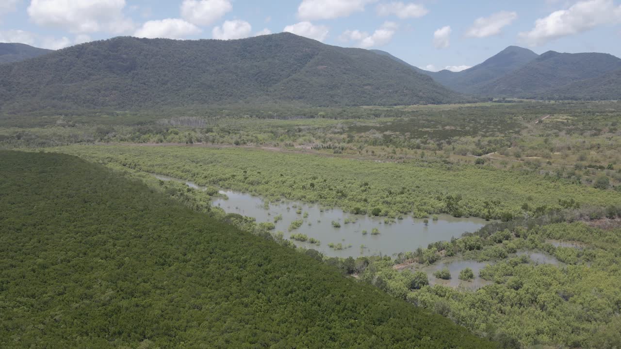 humedal con vegetación verde en la reserva forestal trinity - montañas en el norte de qld, australia