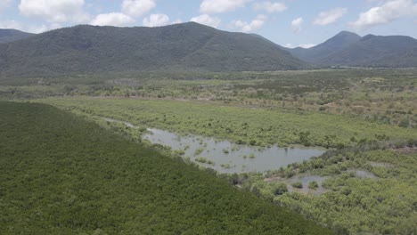 Wetland-With-Green-Vegetation-At-Trinity-Forest-Reserve---Mountains-In-North-QLD,-Australia