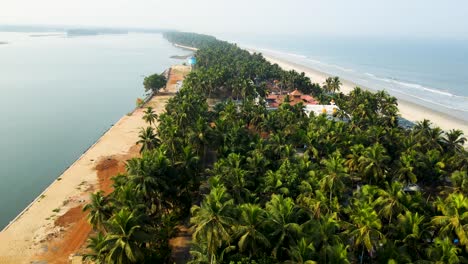 aerial drone shot of a charming island and coconut grove village in udupi