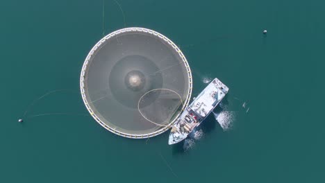 imágenes aéreas de arriba hacia abajo de un barco de pesca de atún de aleta azul, salmón o martín, red, recolección y procesamiento de pescado en un recinto en alta mar. conceptos de acuicultura, piscicultura y sobrepesca.