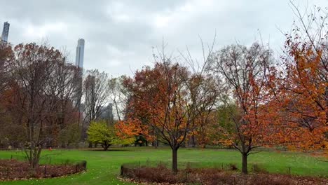 Walking-Past-Autumnal-Trees-With-Orange-Leaves-In-Central-Park,-New-York