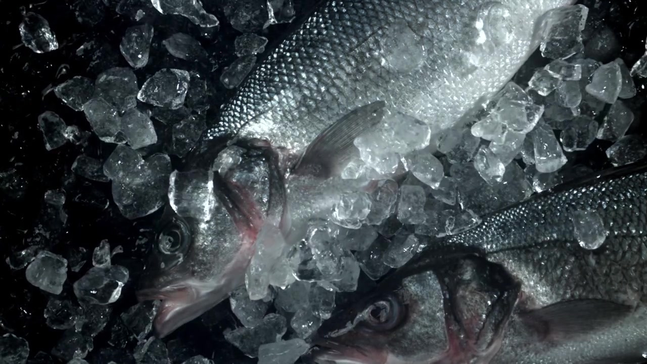 Fersk havabbor på is med fallende isbiter