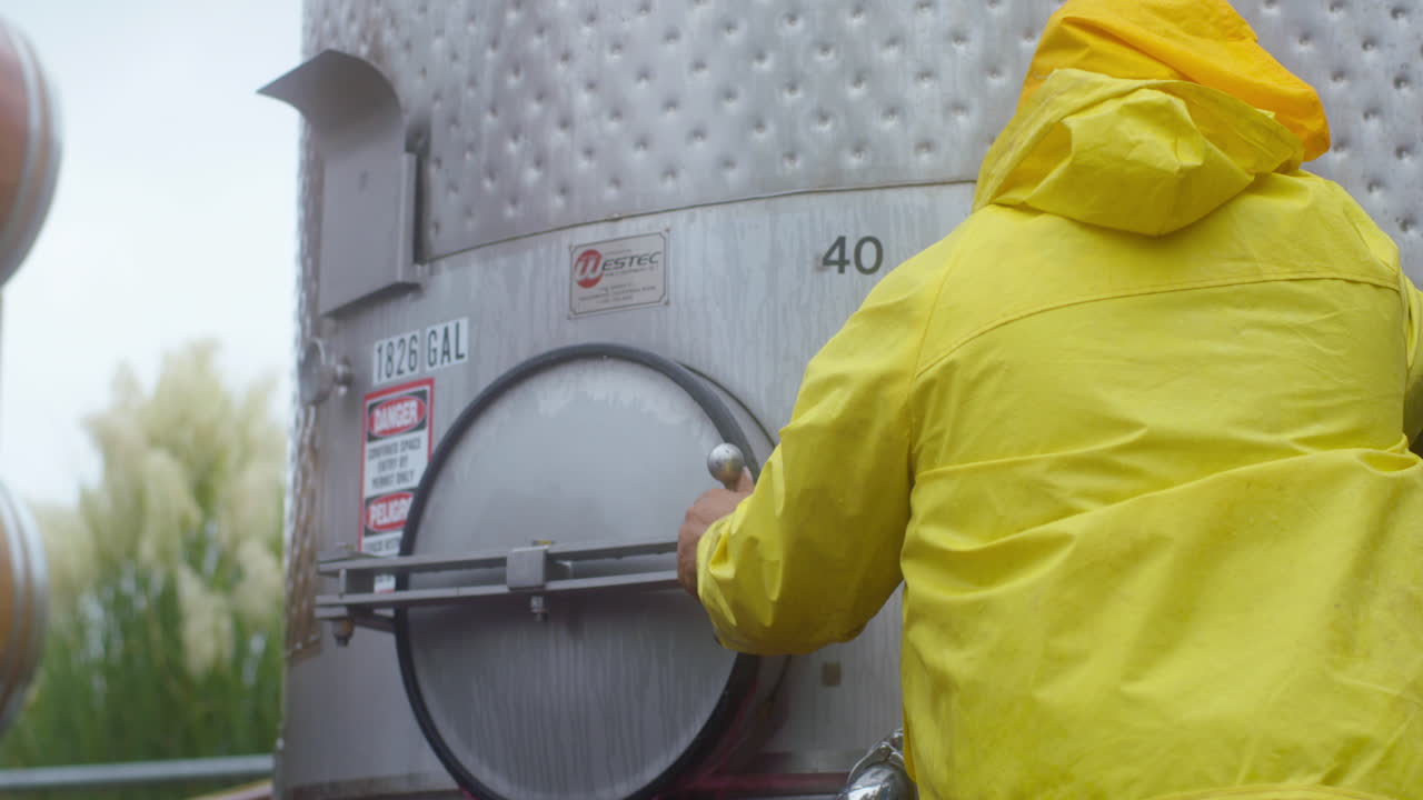 Grape Harvest and Winemaking