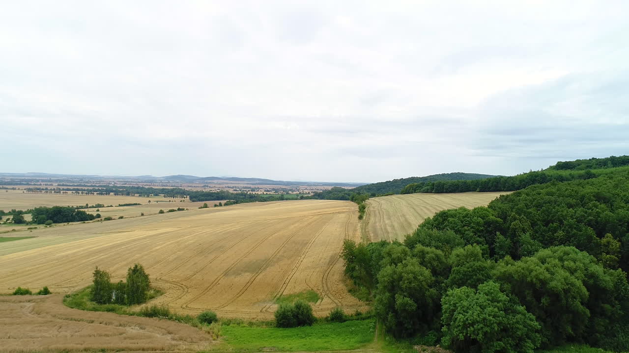Aerial View of Golden Harvested Fields and Green Forest