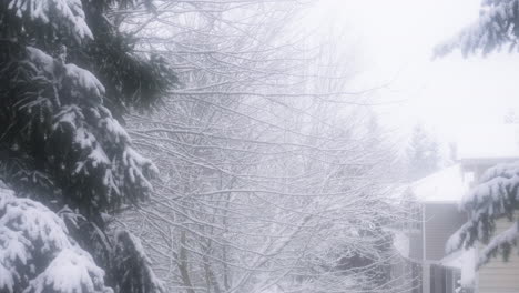 Nahaufnahme-Von-Winterbäumen-Während-Des-Schneesturms-Vom-Fenster-Im-Obergeschoss