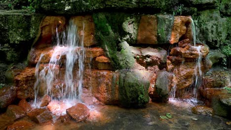 the yellow spring in dappled light loop