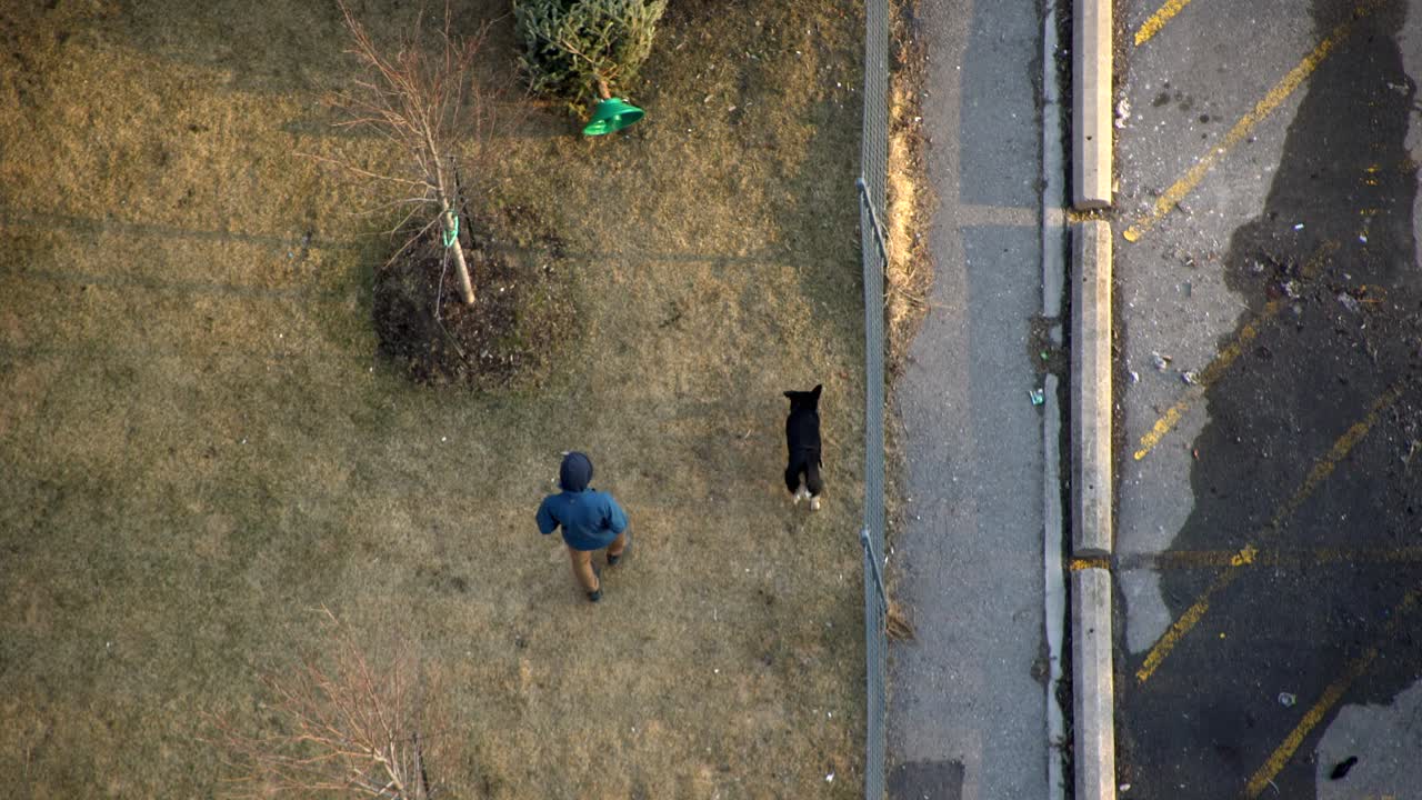 Top down aerial drone view of person walking dog. Person talking dog on walk during winter and dog pooing peeing top down view. Walking dog during winter through city park