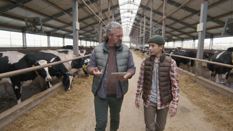 slowmo of father and son walking through dairy farm