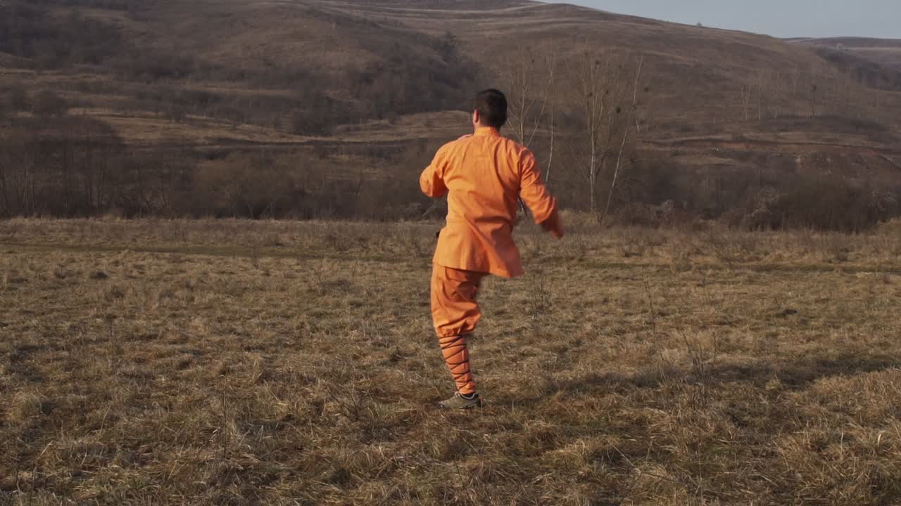 Man Demonstrating Kung Fu Moves And Stances. - wide shot