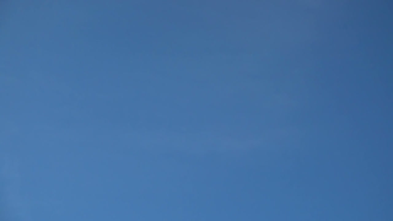 Seagulls in the sky. Slow Motion. Shootings of seagulls