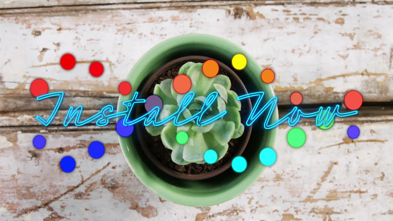 Small rosette succulent being visualized topdown with neon-blue Install Now overlay and color dots