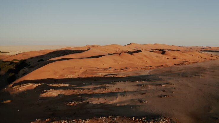 las dunas de arena del desierto