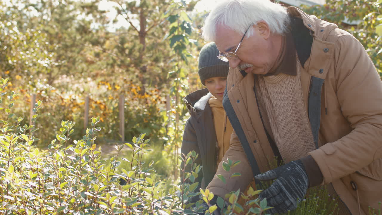 Teenage Boy Watching Aged Man Gardening