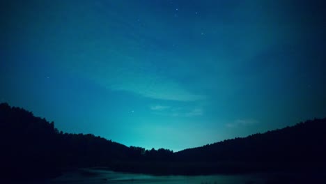 starry night over the forest
