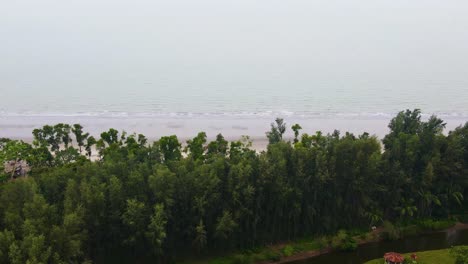 Dense-Jhau-Tree-Ecopark-At-Kuakata-Beach-front-As-Natural-Embankment-In-Bangladesh