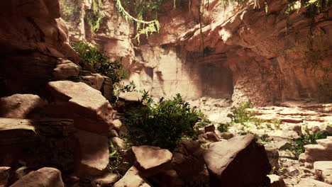 the view inside fairy cave with plants