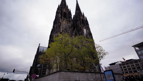 a captivating view of cologne cathedral's towering spires framed by autumn trees. this iconic landmark stands as a testament to gothic architecture and cologne's rich history.