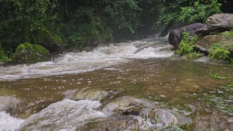 beautiful natural torrent of a stormy mountain river