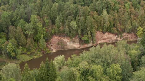 Un-Dron-Panorámico-Aéreo-Disparó-Sobre-Un-Exuberante-Parque-Forestal-Verde-En-Otoño