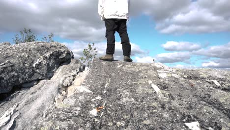 persona de pie en un pico de montaña con vistas a un bosque