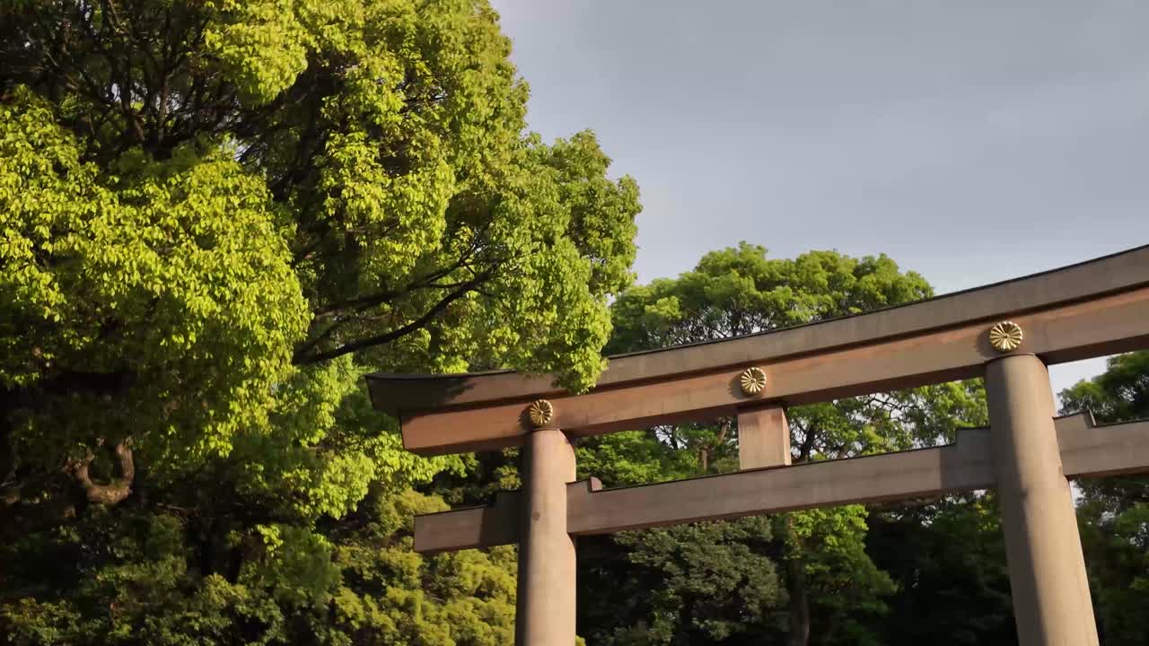 Wood torii gate myojin-style Ootorii Meiji Jingu Shrine Tokyo Japan landmark