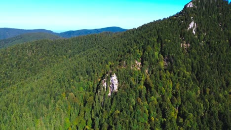 aerial flight over green forest on a mountain side, 4k