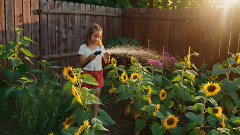 young girl watering sunflowers in a sunny garden