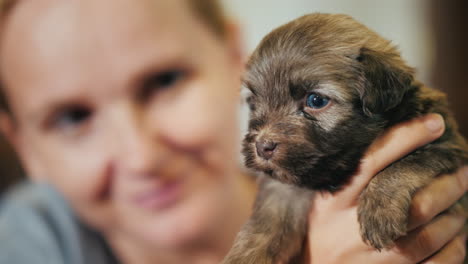 woman holding a cute puppy in a brown-white color