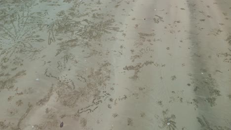 drone views of sempadi beach during monsoon season raining day asian tropical,sarawak,borneo