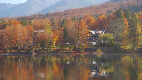 colores de otoño, casa y bosque en el lago bohinj, eslovenia