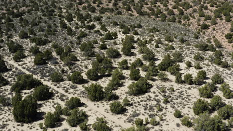 hermoso paisaje natural en el suroeste del desierto de moab, utah - antena