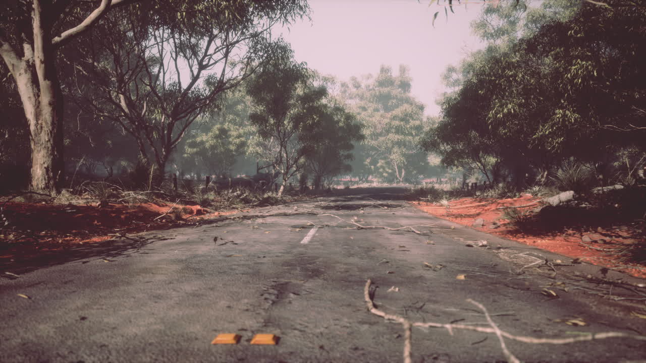 사바나 를 가로지르는 굴곡 된 도로