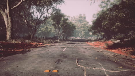 Winding-road-crossing-the-savanna