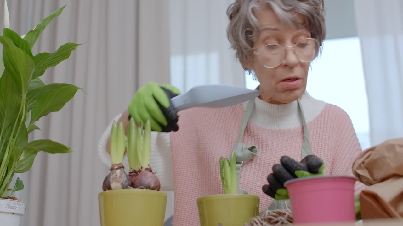 Senior Woman Planting Hyacinths
