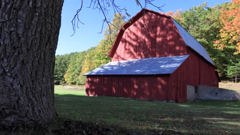 red barn and tree autumn