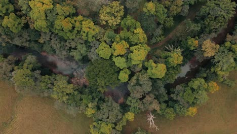 Schmaler-Fluss-In-Struppigen-Waldhügeln-An-Den-Wasserfällen-Von-Nauyaca-In-Costa-Rica