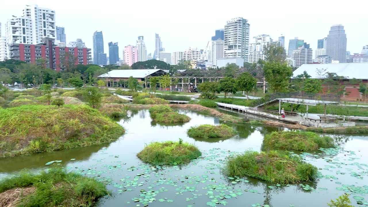 방 시내 스카이 라인 가운데 울창한 습지 공원의 경치