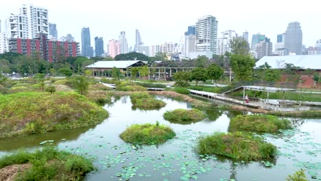 scenic view of lush wetland park amidst bangkok city skyline