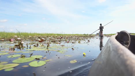 pov shot on an okavango delta tour in africa