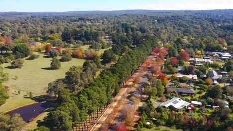 side panning aerial footage of honour avenue