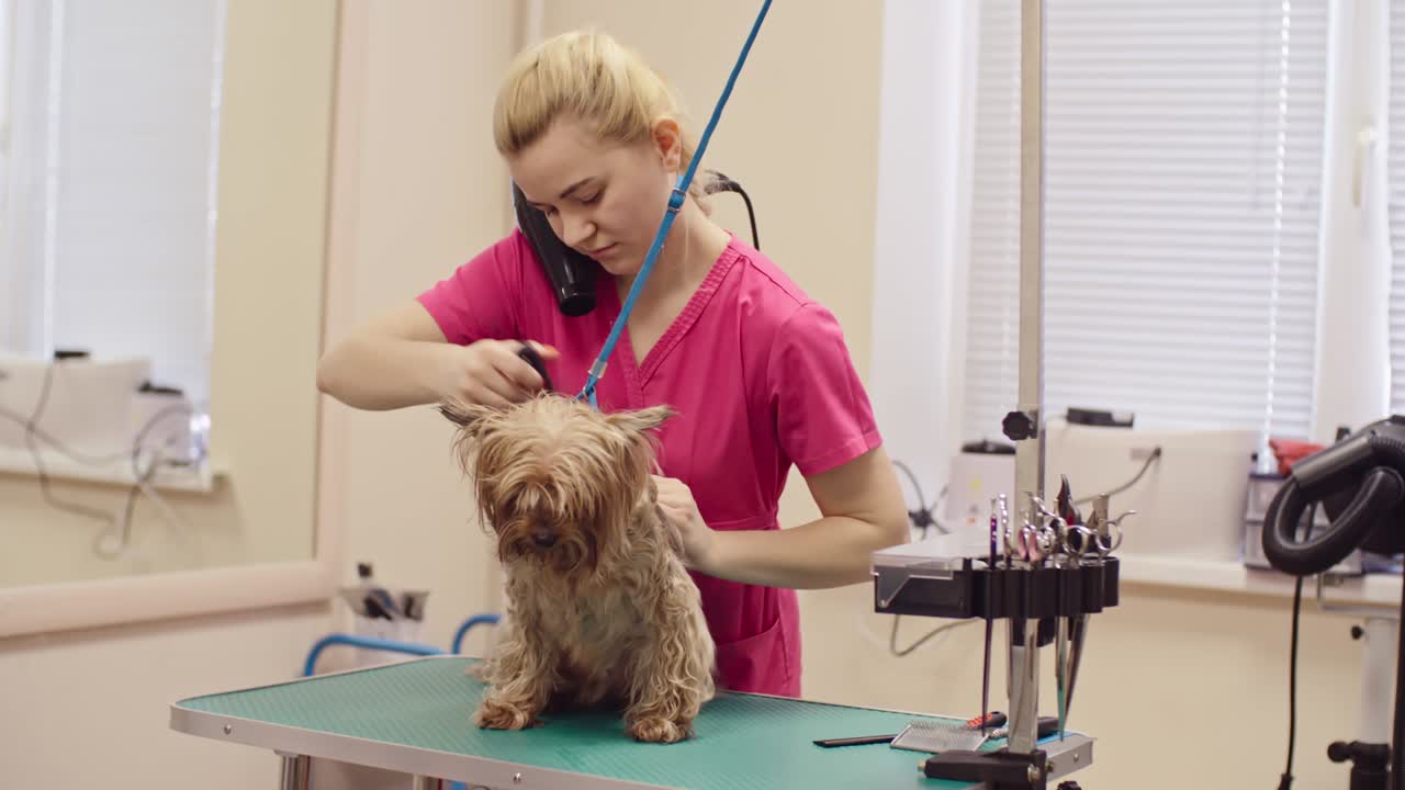 여자가 질을 고 건조하는 요크