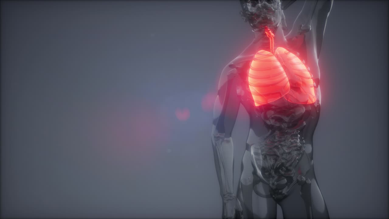 인간의 폐 방사선 검사