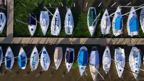 aerial dolly right of yachts docked inline in olivos port with aquatic perennial plants around them, buenos aires